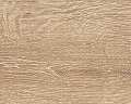 Oak